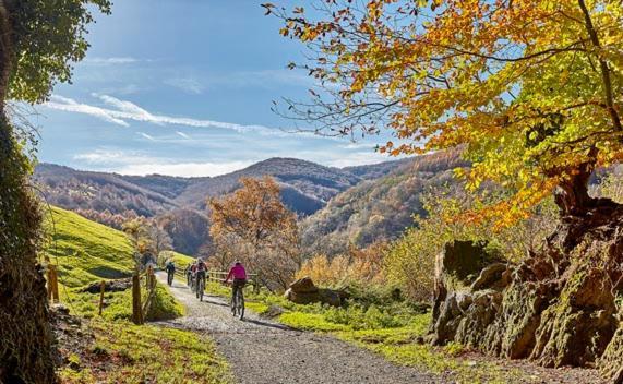 Alojamiento Rural Urgain I Y II Lekunberri Kültér fotó